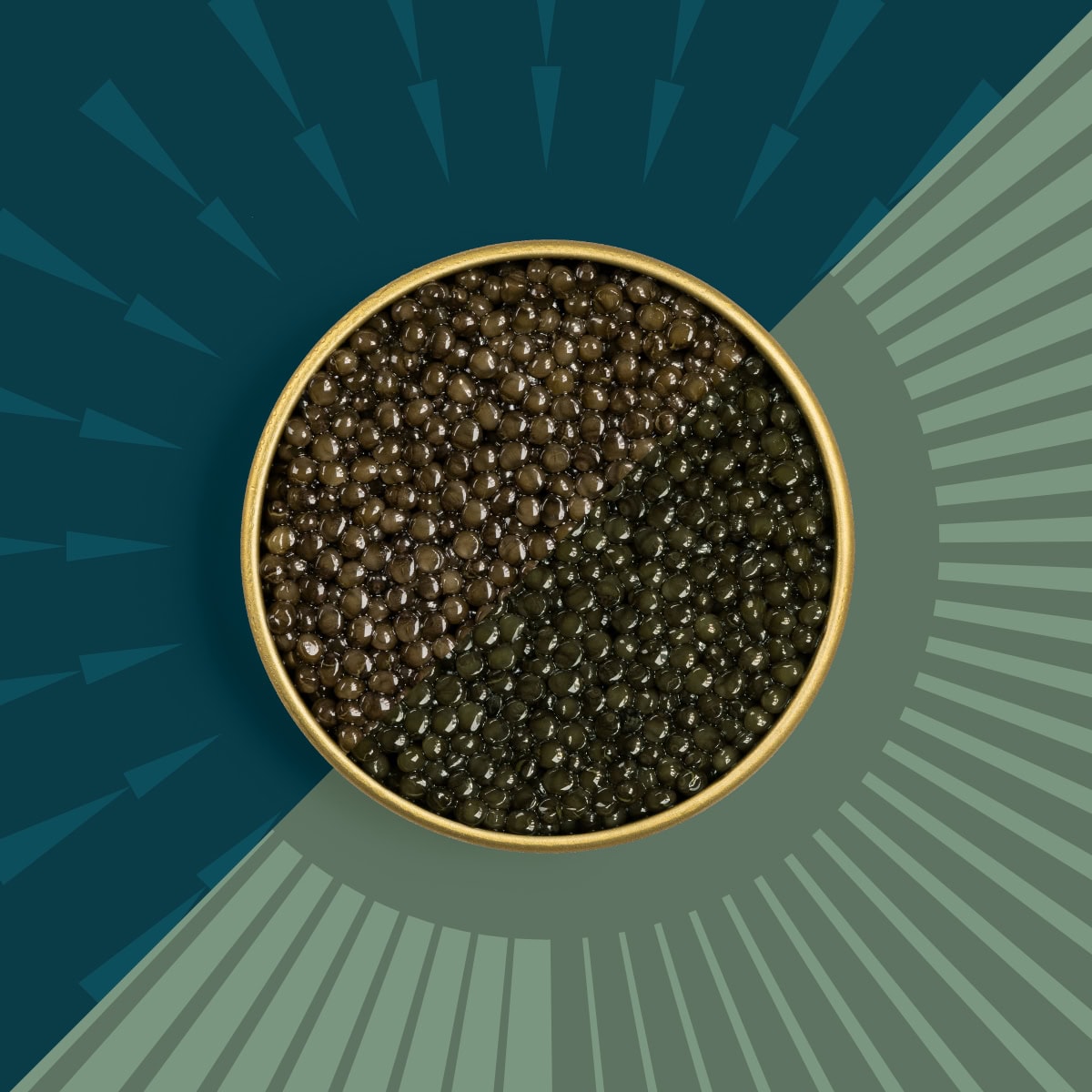 Brown and dark green caviar in a tin on a blue and green background.