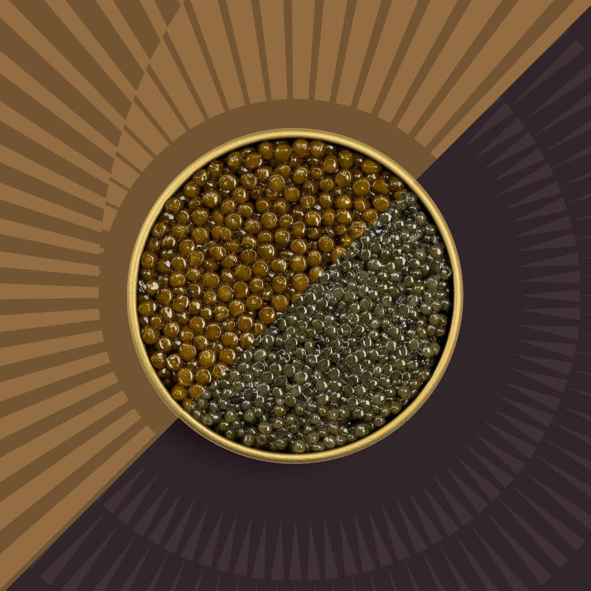 Two types of caviar in a caviar tin on a brown background.