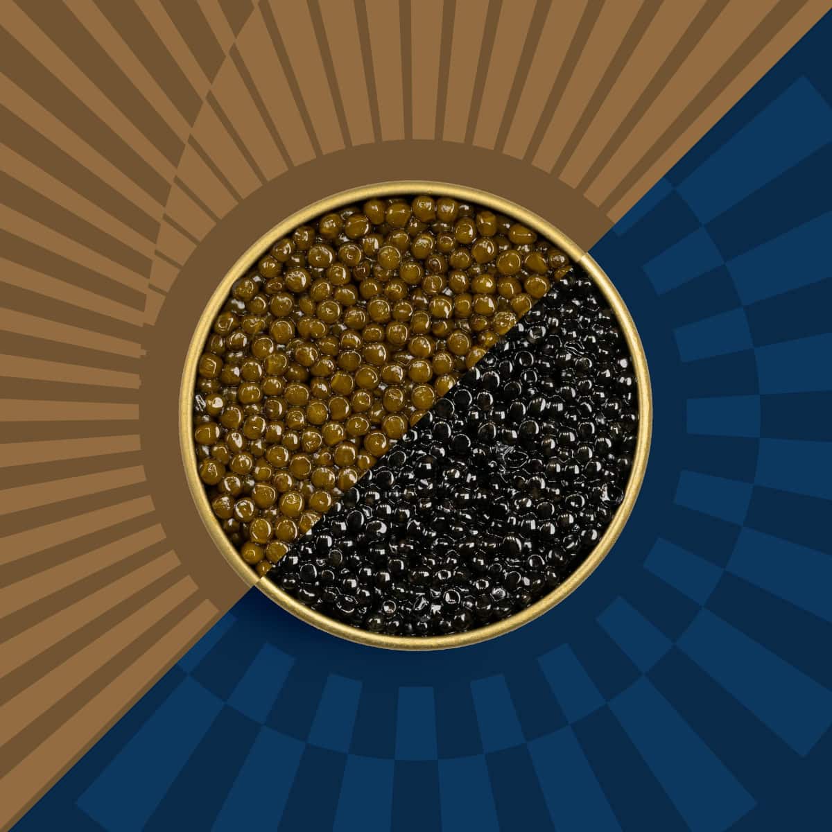 Black and brown caviar in a tin on a blue and brown background.