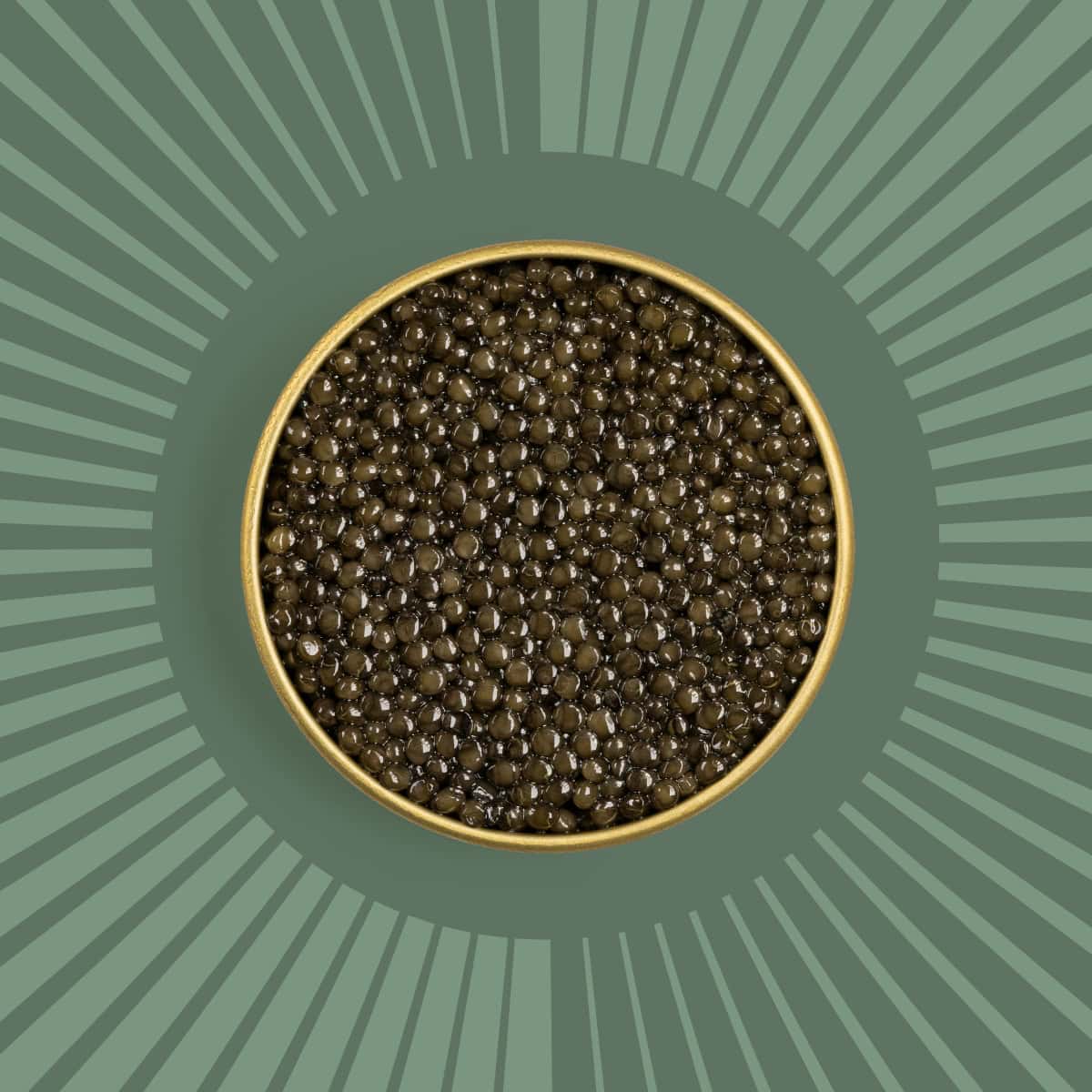 Caviar in a golden caviar tin on a green background.