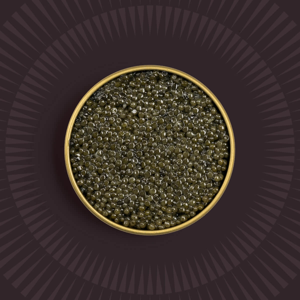 Light green caviar pearls in a caviar tin on a brown background.
