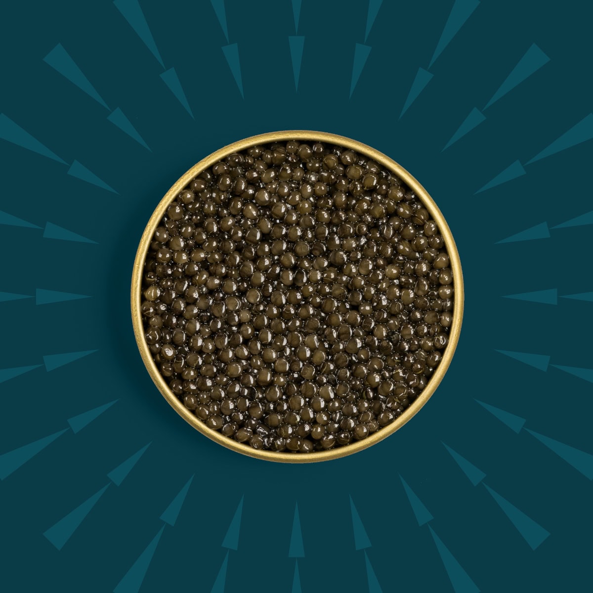 Caviar in a tin on a blue background.