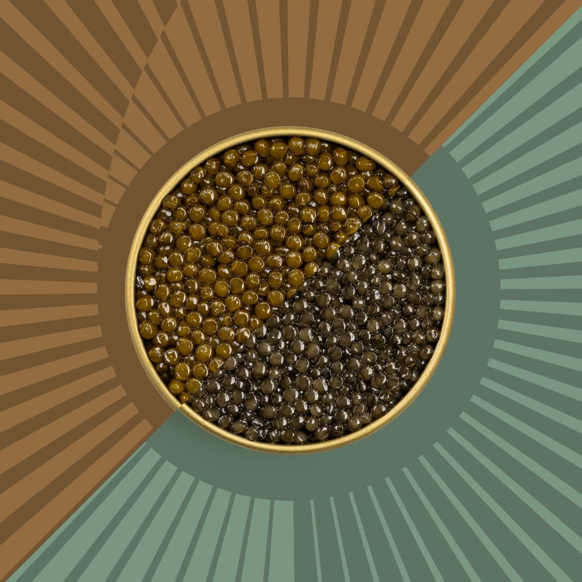 Tin of caviar with brown and dark green caviar combination on a brown green background.
