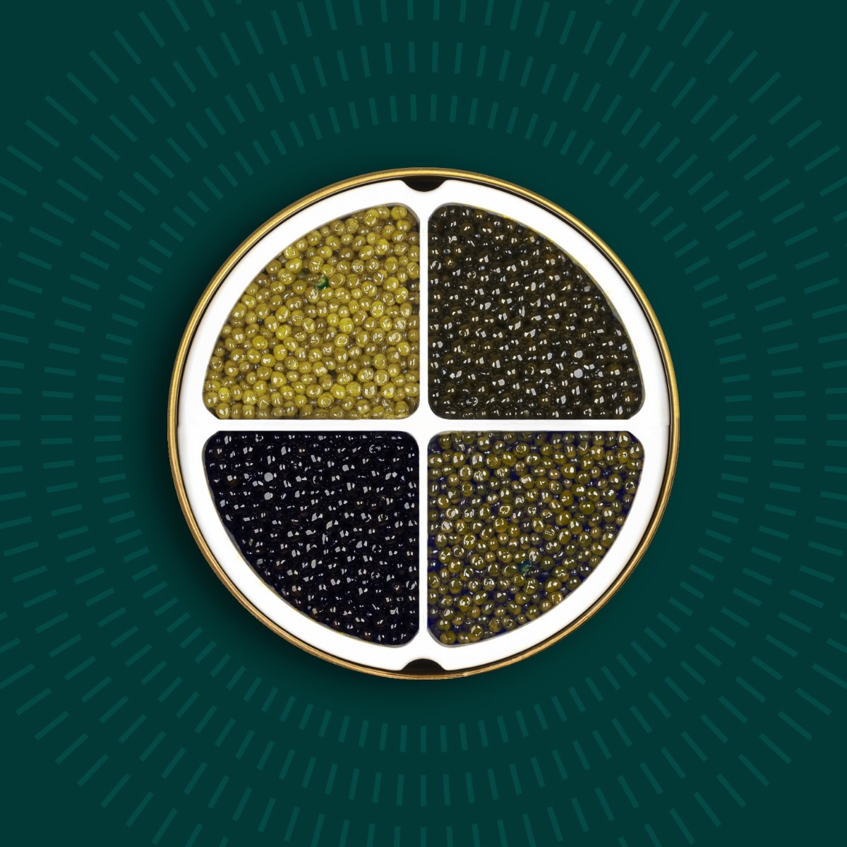 Four different types of caviar in a tin on a green background.